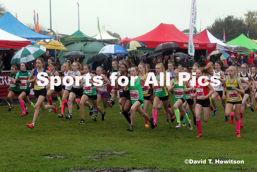Girls under-13s, National Cross Country Relay Champs., Berry Hill Park, Mansfield.  Photo: David T. Hewitson/Sports for All Pics